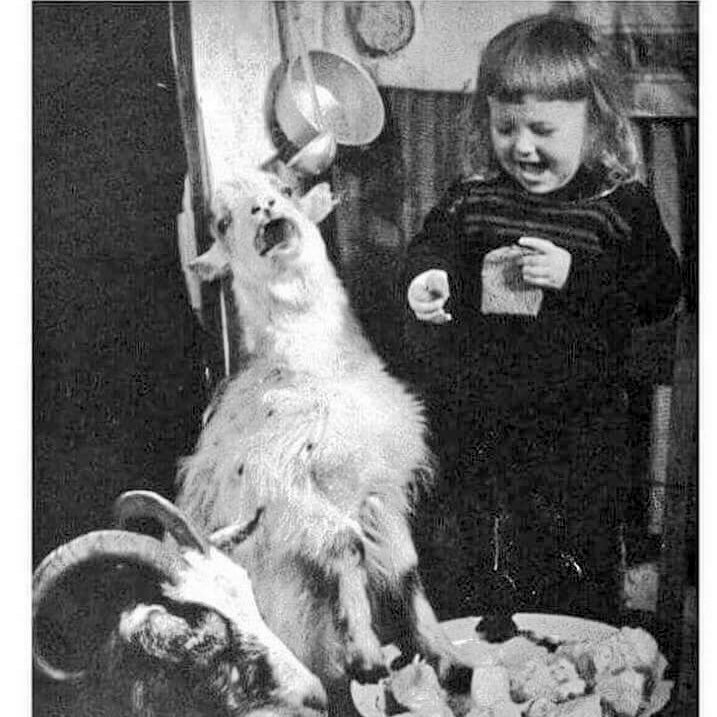 KatCastro15's profile picture. Katherine, I am.