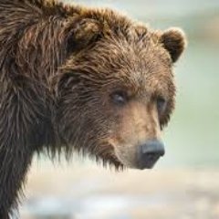 neefjedeefje's profile picture. Beer, bier, chemie en Temptation Island enthousiast