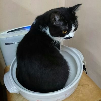 そうまさんのプロフィール画像