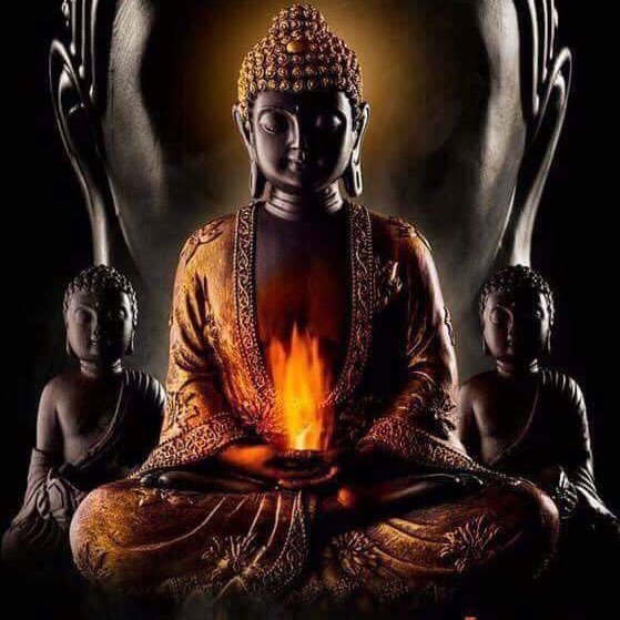 jayanth15396358's profile picture. 