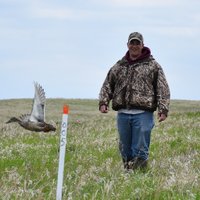Josh Brown, Ph.D. (@duck_doctor) 's Twitter Profile