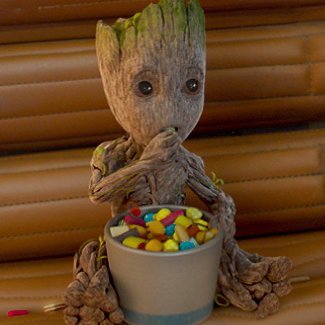 el_coyotito's profile picture. nop