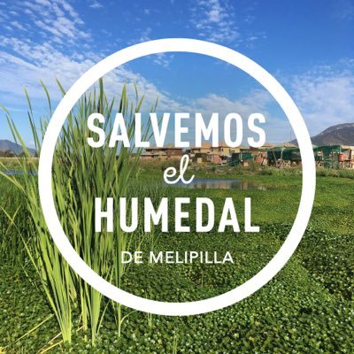 Somos un grupos de ciudadanos que tras relleno del Humedal Chacra San Pedro en Melipilla buscamos visibilizar la problemática de los #HumedalesUrbanos.