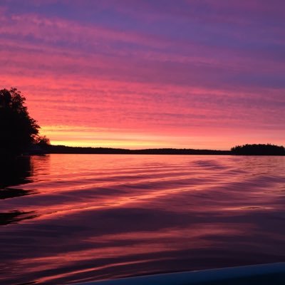 laura_kellock's profile picture. 