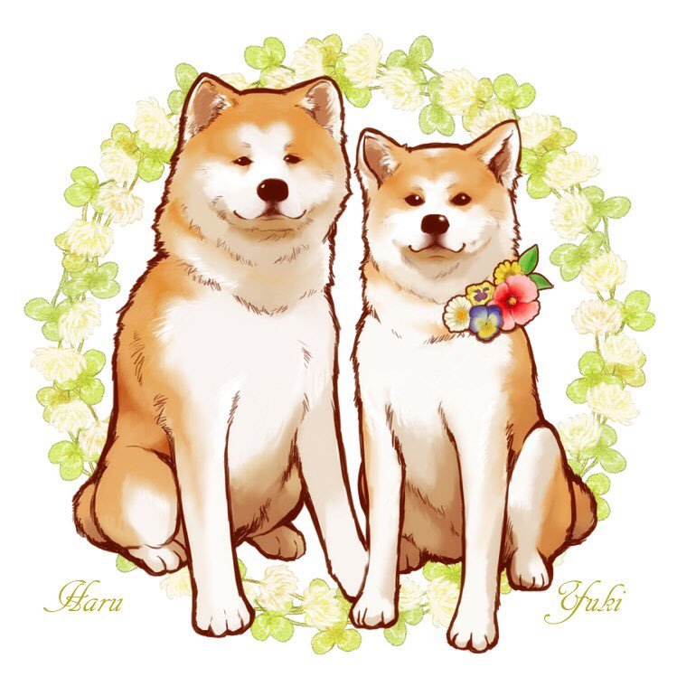 akitainu7 Profile Picture