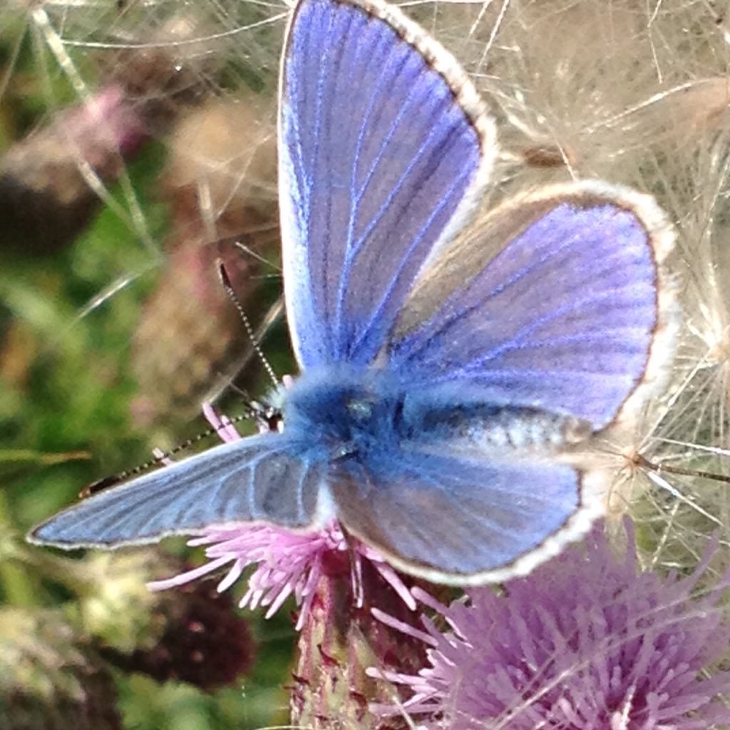 DonnaEHarvey's profile picture. 