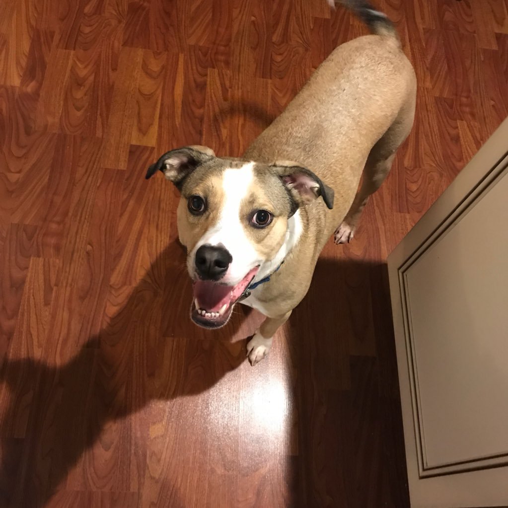 OnlyBDawg's profile picture. Cle - “AWAKE”