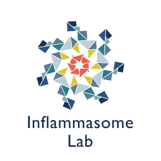 Prof Kate Schroder's lab @ IMB-UQ studies inflammasomes in health, infection & disease. Tweets: inflammation, diversity, inclusion. UQ Ally🏳️‍🌈. Opinions=own.