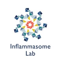 Inflammasome Lab(@inflammasomelab) 's Twitter Profile Photo