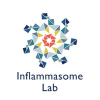 Inflammasome Lab (@inflammasomelab) 's Twitter Profile Photo Inflammasome Lab (@inflammasomelab) 's Twitter Profile Photo
