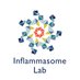 Inflammasome Lab (@inflammasomelab) Twitter profile photo