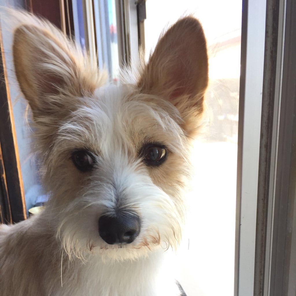 2012Banzai's profile picture. 