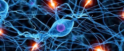 First Self-Programming #Artificial #Intelligence #Blockchain / #Bitcoin #Project. #AI #Future #Cryptocurrency