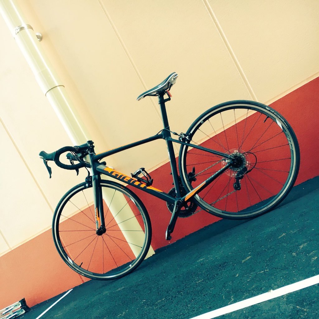 naduse0982's profile picture. アニメが大好きでめっちゃ見てる~/ロードバイクにも乗ってます たまにサイクリングする/バドミントンやっとる/ゲーム:バンドリ.ドッカン.FGO.コンパス.他はちょろかな 気軽にフォローしてDMも