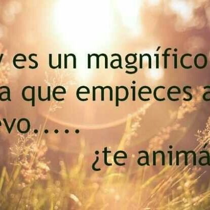 estebanqqta's profile picture. cuenta anterior suspendida andresqqta26