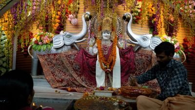 DivyaTi46315517's profile picture. 