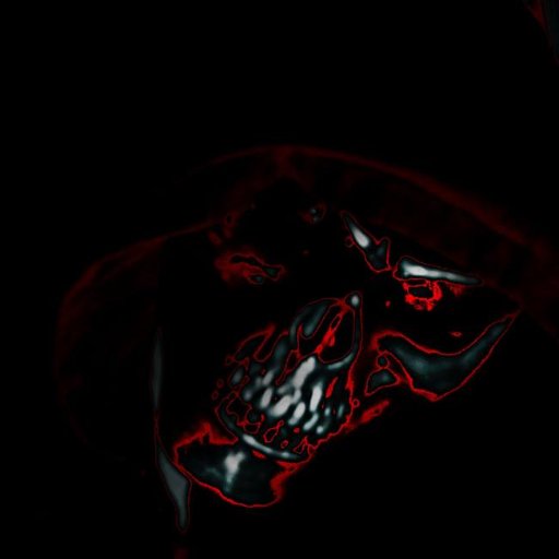 Enlightened_Pro's profile picture. Exploring consciousness one hypothesis at a time.