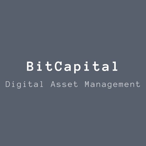bitCapital_cl's profile picture. Crypto y Finanzas