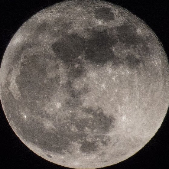 FanOfMoonlight's profile picture. 