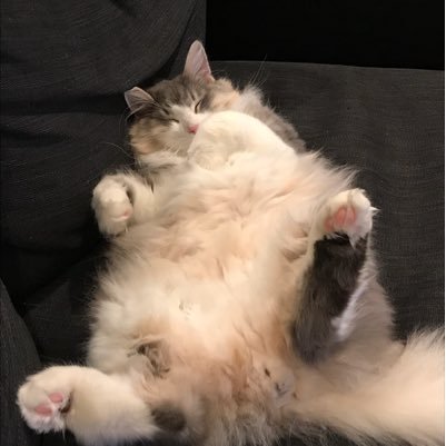 SA666KYOJIN's profile picture. 