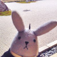 さつき (@satsuki___09) 's Twitter Profile