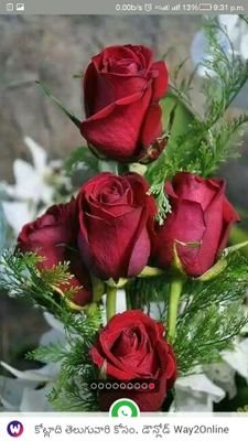 REVANTH5544332's profile picture. 