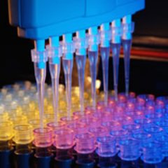 Immuno_Chem's profile picture. 