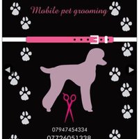 Posh pooch & Poochie Palace (@posh_poochie) 's Twitter Profile