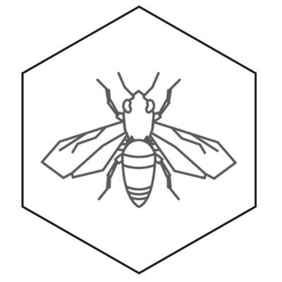 B0SSITUDE's profile picture. A creative branding company servicing Social Media, Graphic Design, Website Building, and Videography for food, fashion, travel, events and more!