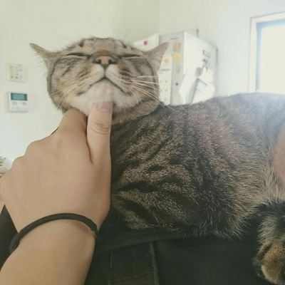 FoooookaraO__O's profile picture. 趣味垢です☺️RT多め