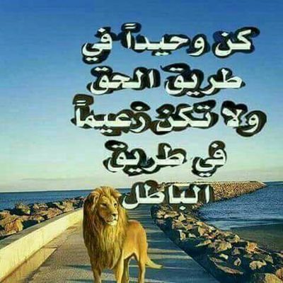 رفيق الخط