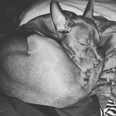 Jitotia730's profile picture. 