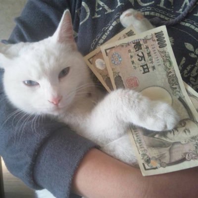 neko_ROBO_'s profile picture. 高専ロボコン2017-2020/設計・外装/高専ロボコン2020小山Cシンクロシスターズ♪