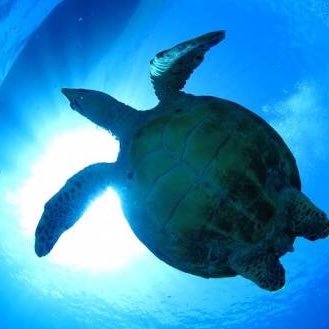 ebibekko's profile picture. 東北の歴史好き。