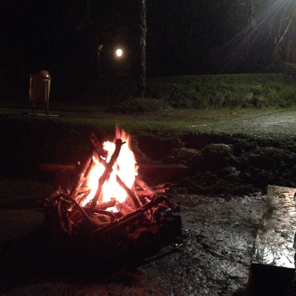 R3nn3l's profile picture. 