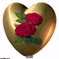 kevin79 (@kevindu7900) 's Twitter Profile
