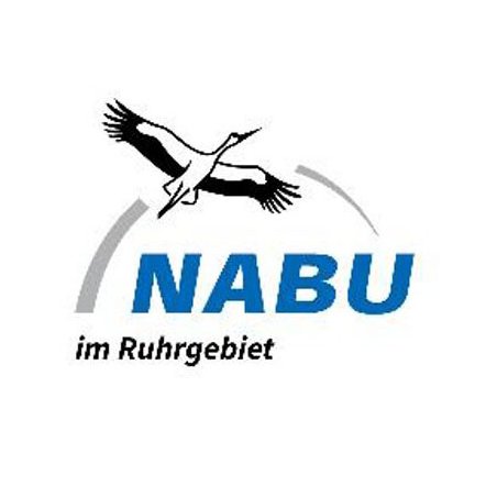 Entdecke mit uns die wilde Natur des Ruhrgebietes bei Exkursionen, naturkundlichen Spaziergängen, Vorträgen uvm.