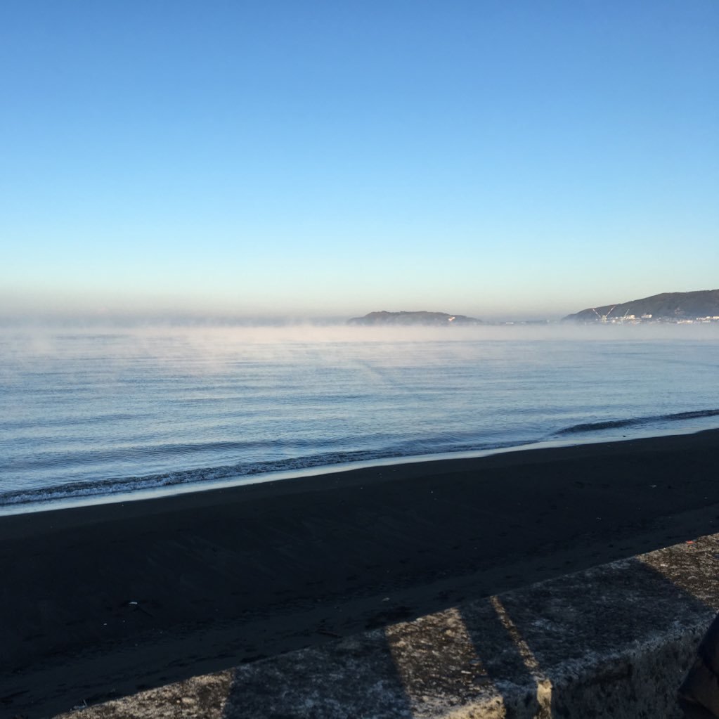 ZEGA0719's profile picture. 　