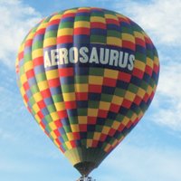 Aerosaurus Balloons (@balloonist) 's Twitter Profile