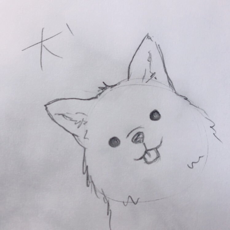 犬之助さんのプロフィール画像