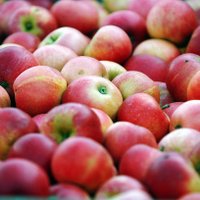 Devon Food & Drink (@devonlivefood) 's Twitter Profile