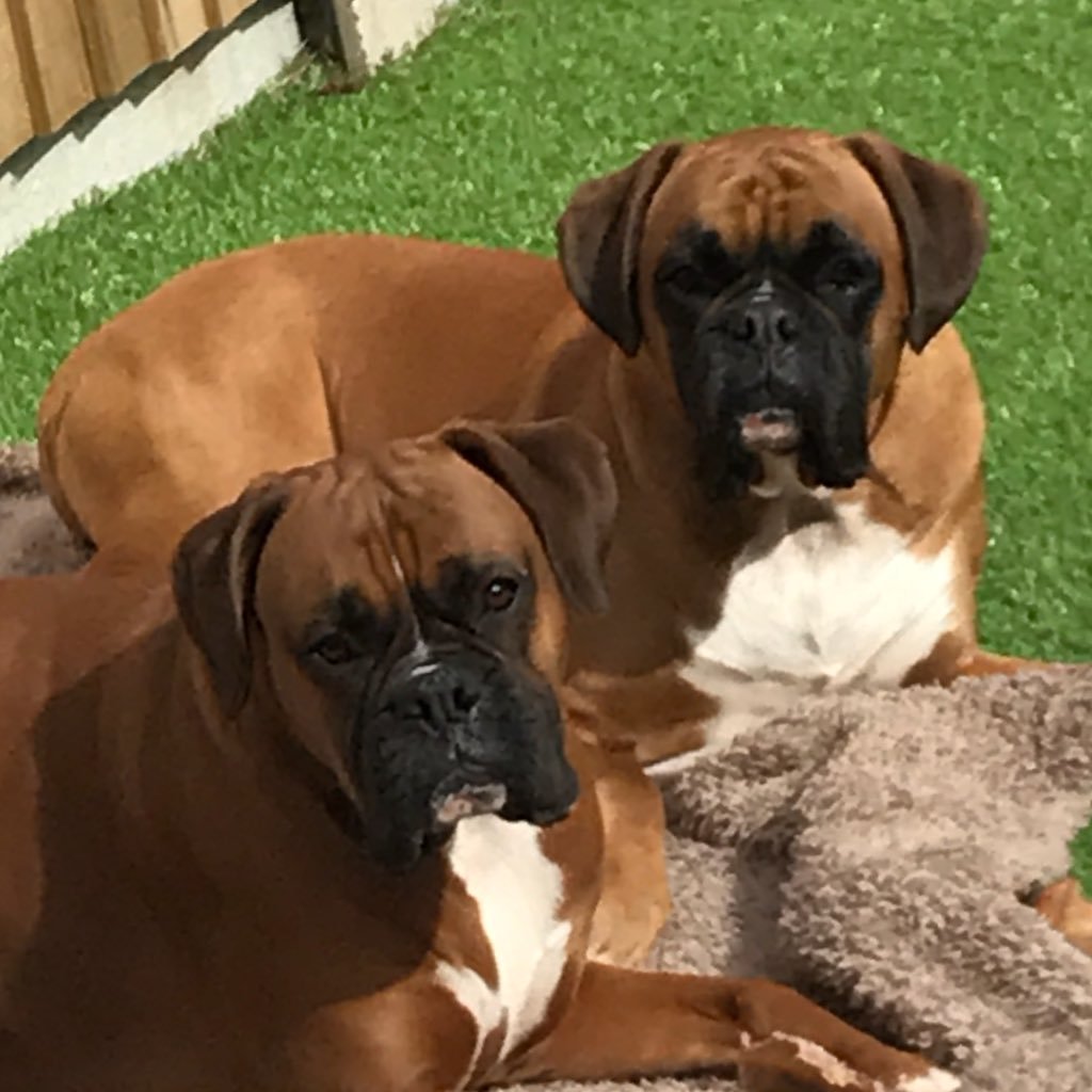 BrownT2's profile picture. 