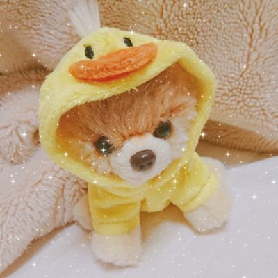 haru_music0370's profile picture. 96line,22/VOAT原宿校/歌ったり♪吹いたり♪好きなこと、やりたいことをやってます♪


Love❥Disney♡Music♡Korea(SMF,TVXQ)♡SOLIDEMO

☆*。有馬っちが大好き.+*:ﾟ+｡.☆