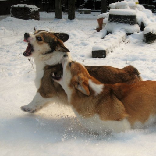 787PTNH787's profile picture. Свободу Навальному
Нет войне!!!