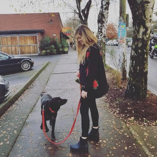 irish grrl/wexford hun. LLB (TCD Law) LLM Animal Law (Lewis + Clark Law) Assoc Fellow @ Oxford Center for Animal Ethics. @animalrebelire she/her