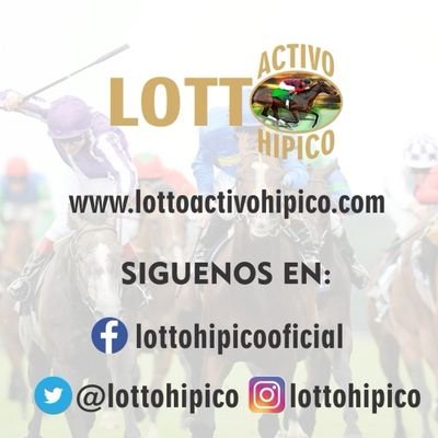 Somos una lotería dedicada al recuerdo del hipismo Venezolano, con ejemplares que marcaron historia en su momento en el hipismo nacional e internacional