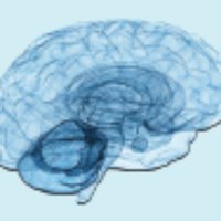 Low Grade Glioma Registry (@gliomaregistry) 's Twitter Profile Photo Low Grade Glioma Registry (@gliomaregistry) 's Twitter Profile Photo