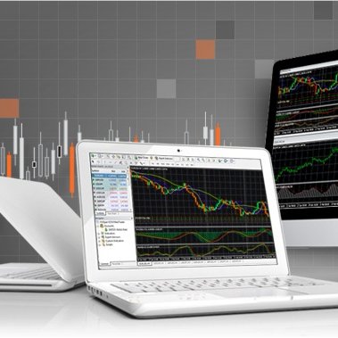 SpotMarkets_91's profile picture. 