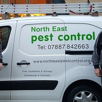 North East Pest Control.
All areas of pest control covered. enquiries@northeastpestcontrol.org.uk

Call :- 07528013599 / 07887842663 for a quick response.