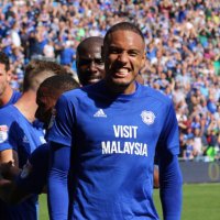 Everything Cardiff City (@city_everything) 's Twitter Profile